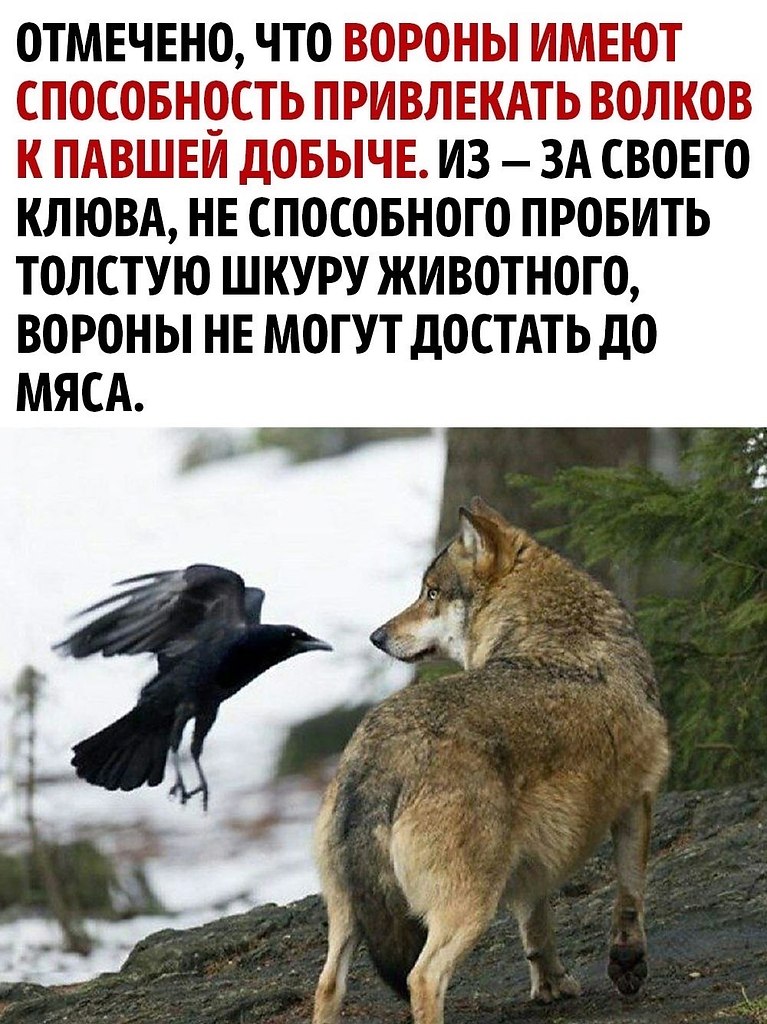       - 2