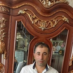 , 41, 