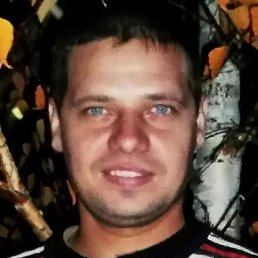 ����, ������, 41 ���