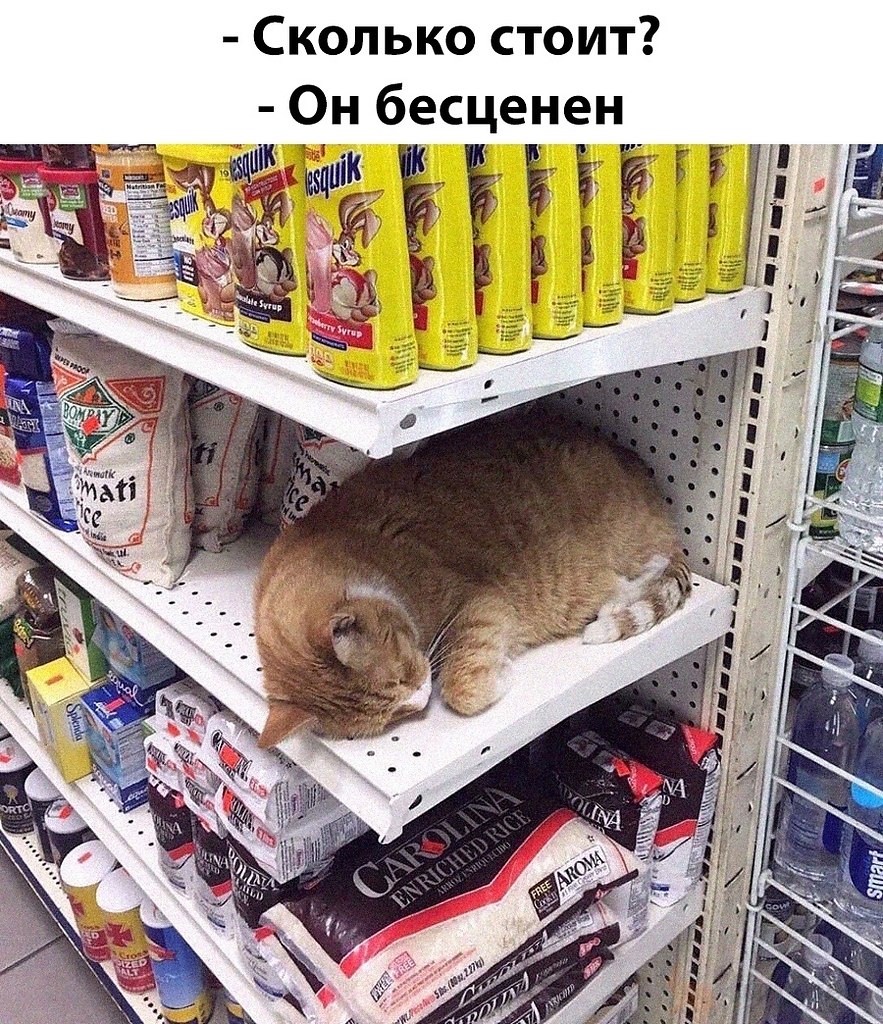 ��� �������� �������� - 3 ������� 2026 � 04:30