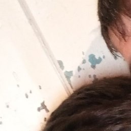 �����, ������-��-����, 41 ���