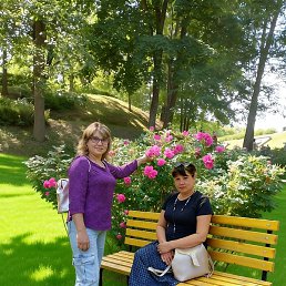 ����, ����-���, 46 ���