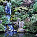  Svetlana,  -  8  2025    