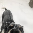 ���� Anna, ������, 44 ���� - ��������� 25 ������� 2026