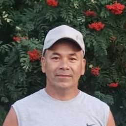 �����, �����, 51 ���