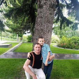 �����, 41 ���, ���������