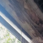 �����, 41 ���, �������