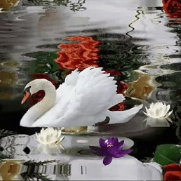 ���� �������, ������, 73 ���� - ��������� 18 ������� 2024