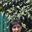 ���� �������, ������, 58 ��� - ��������� 8 ������� 2025 � ������ ���� ����������