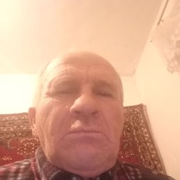 , 63, -