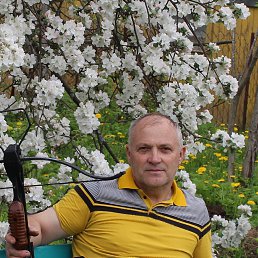 ���� �������, ������, 68 ��� - ��������� 30 ������� 2023