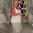 ���� ��������, �����������, 66 ��� - ��������� 27 ������� 2026