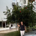 ���� ���������, ��������� - ��������� 31 ��� 2026 � ������ ���� ����������