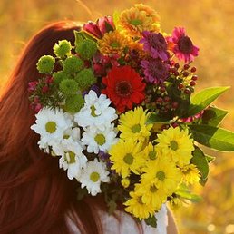 �����, ������, 48 ���