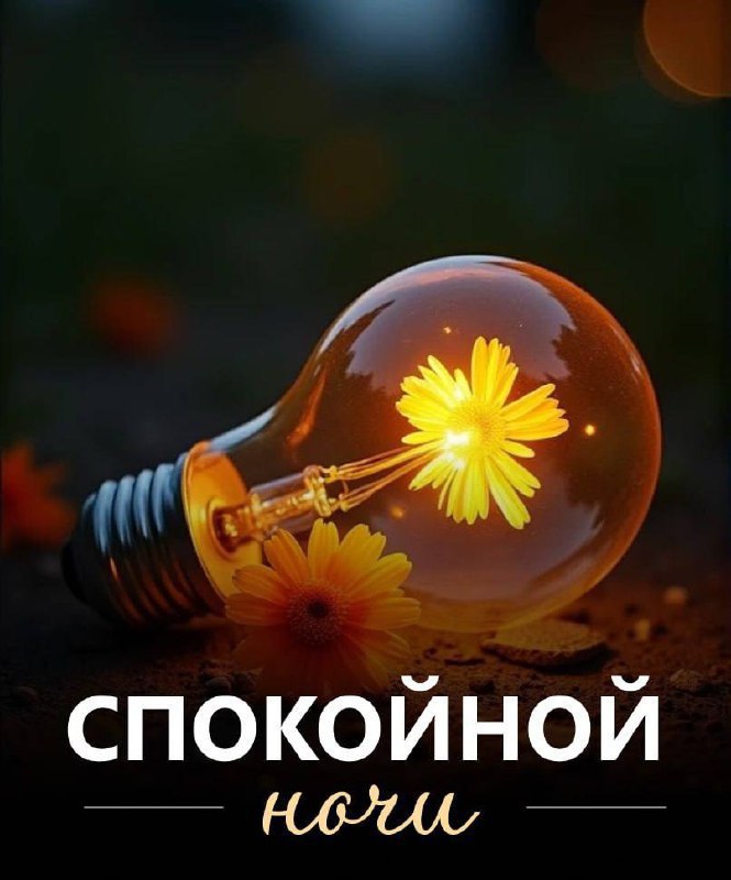   ,    . - 25  2025  18:44