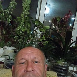 , 54, 