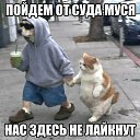 ���� �����, ������ - ��������� 25 ������ 2026