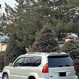 ������, ������, 46 ���