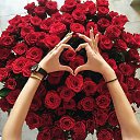 ���� ����, ����������, 47 ��� - ��������� 1 ��� 2024 � ������ ���� ����������