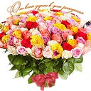 ���� �������, ������, 65 ��� - ��������� 4 ������� 2024 � ������ ���� ����������