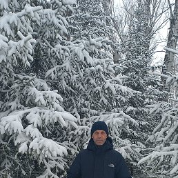 �����, 43 ����, ����������