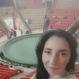 ���� �����, ����������, 41 ��� - ��������� 9 ������ 2024