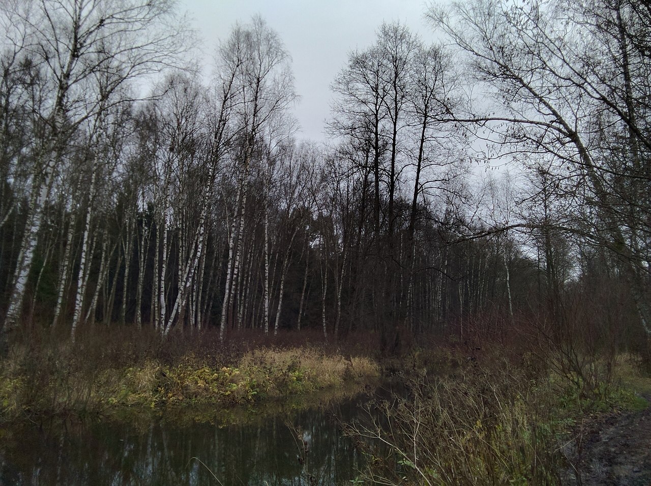 epoo-coco ec  aoao ape 