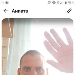 �������, 37 ���, �������