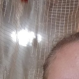 ����, ������, 46 ���