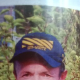 , 42, 