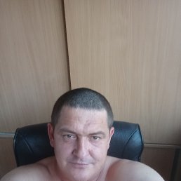 , 41, 