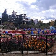 �������, 61 ���, ����