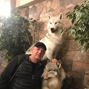 , 58 , 