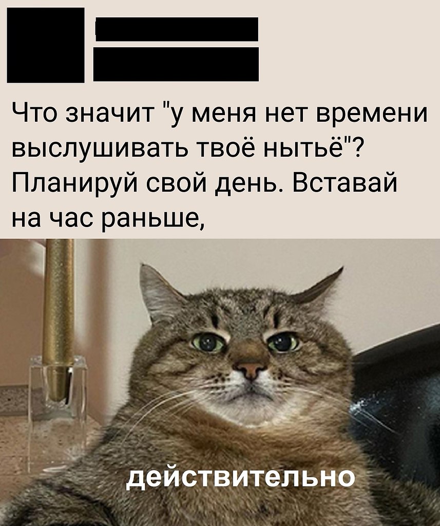 JPG - 8  2025  16:15