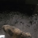 ���� ���������, �������, 39 ��� - ��������� 2 ������ 2026 � ������ ���� ����������