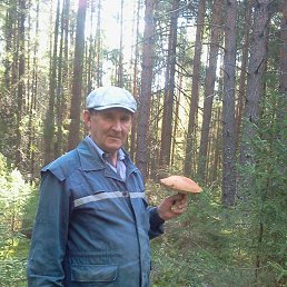 ���� ��������, ������ - ��������� 28 ������ 2023