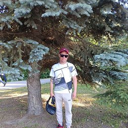 �������, ������, 46 ���