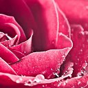  A S 45, , 51  -  28  2025    