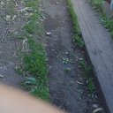 ���� ���� ��������, �����������, 45 ��� - ��������� 5 ���� 2024 � ������ ���� ����������
