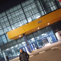 �����, 41 ���, �����