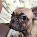 ���� �������, ������� ��������, 40 ��� - ��������� 3 ������� 2026 � ������ ����, ����, �������, �������� � ��� � ����