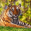 ���� �������, ���������, 56 ��� - ��������� 7 ������ 2024 � ������ ���� ����������