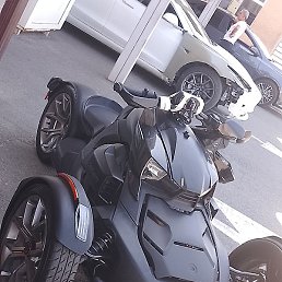 �����, ������, 40 ���
