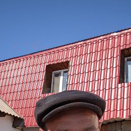 , 53, 