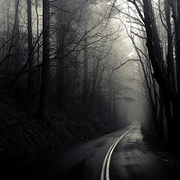 ������, ������, 56 ���