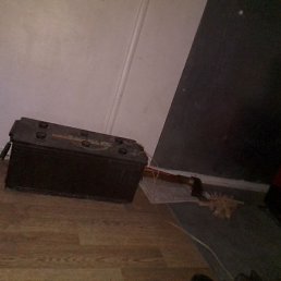 �����, ������, 43 ����