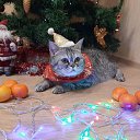 ���� ������, ������������ - ��������� 17 ������ 2025 � ������ ������ ��������