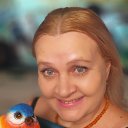 ���� �������, ��������, 57 ��� - ��������� 12 ������� 2025