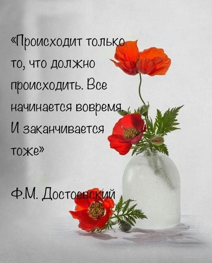 �� ����� ������! - 17 ��� 2026 � 10:20
