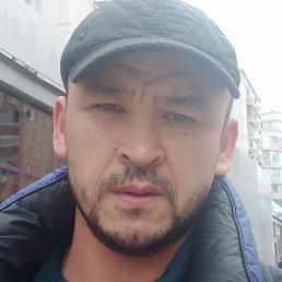 ����, ������, 41 ���